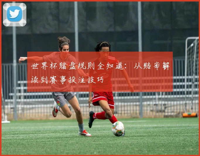 世界杯赌盘规则全知道：从赔率解读到赛事投注技巧