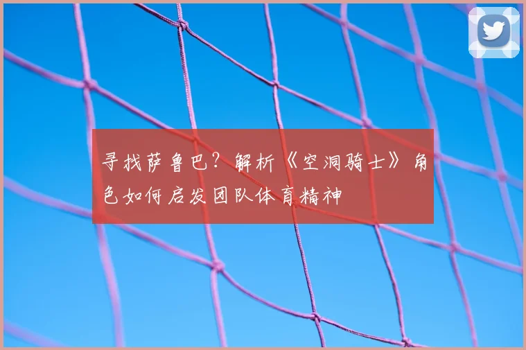 寻找萨鲁巴？解析《空洞骑士》角色如何启发团队体育精神