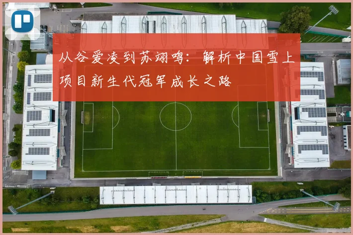 从谷爱凌到苏翊鸣：解析中国雪上项目新生代冠军成长之路