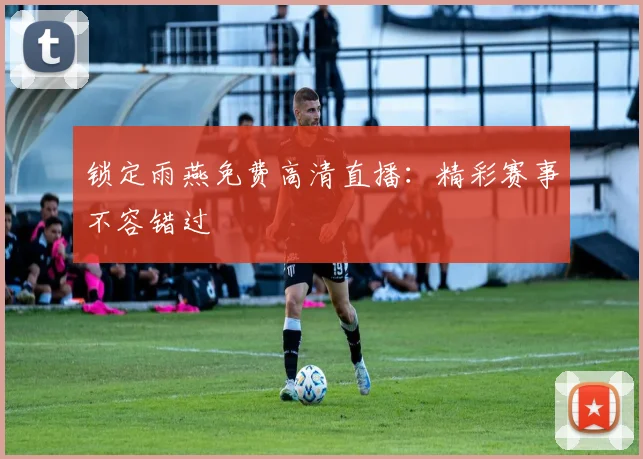 锁定雨燕免费高清直播：精彩赛事不容错过