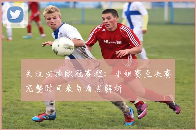 关注女排欧冠赛程：小组赛至决赛完整时间表与看点解析