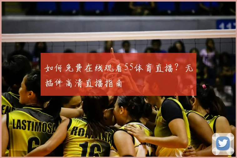 如何免费在线观看55体育直播?无插件高清直播指南