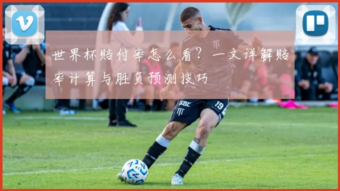 世界杯赔付率怎么看？一文详解赔率计算与胜负预测技巧