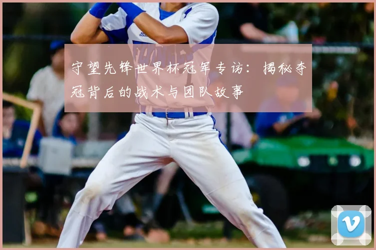 守望先锋世界杯冠军专访：揭秘夺冠背后的战术与团队故事