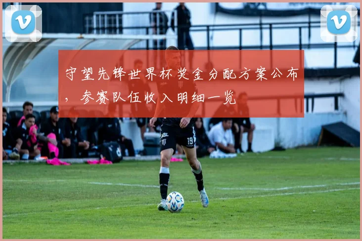 守望先锋世界杯奖金分配方案公布，参赛队伍收入明细一览