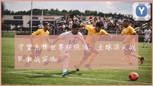 守望先锋世界杯现场：全球顶尖战队激战实况