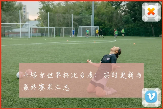 卡塔尔世界杯比分表:实时更新与最终赛果汇总