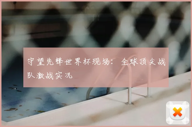 守望先锋世界杯现场：全球顶尖战队激战实况