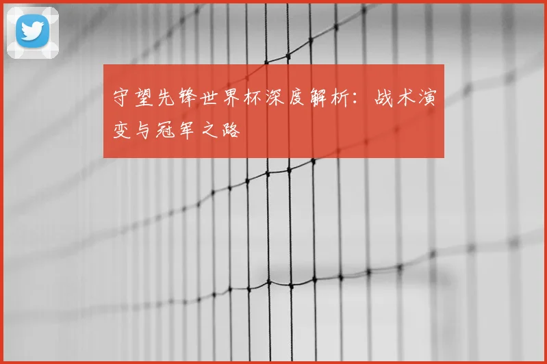 守望先锋世界杯深度解析：战术演变与冠军之路